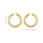 Pair of gold hoop earrings.
