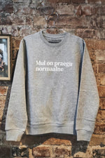 Mul on praegu normaalne №4 - Grey