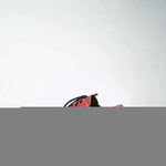 Red Widgets